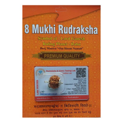 8 Mukhi Nepali Rudraksh