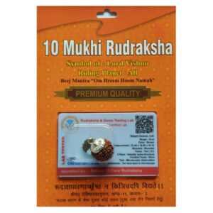10 Mukhi Nepali Rudraksh