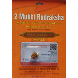 2 Mukhi Nepali Rudraksh