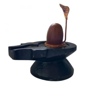 Ardhnaarishwar Narmadeshwar Shivling ( Along with Nag Dev and Jaldhara Base )