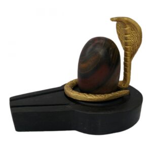 Chakradhaari Narmadeshwar Shivling ( Along with Nag Dev and Jaldhara Base )