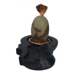 Om shape Narmadeshwar Shivling (Along with Nag Dev and Jaldhara Base)
